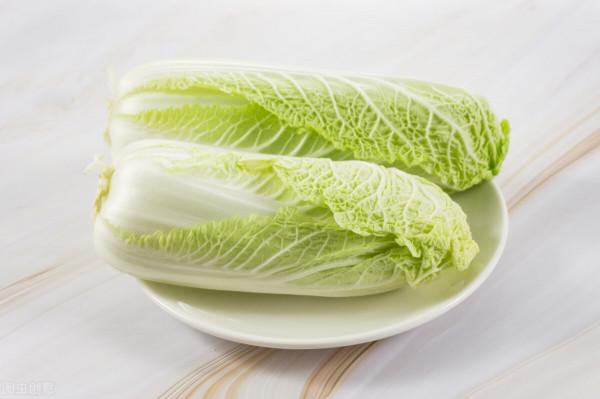 1-10月種什麼菜?全說清楚了,建議收藏 1-10月種什麼菜?全說清楚了,建議收藏