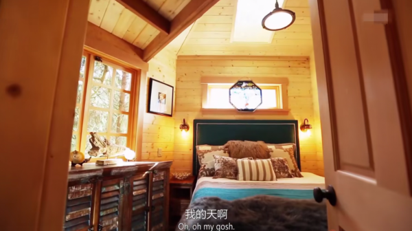 全程驚呼“老天爺”，國外女生接收樹屋滿目驚喜，這房子我給滿分