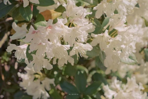 永遠無法捂熱的星座,生性涼薄,外表禮貌內心疏離,清醒的觀察者 永遠無法捂熱的星座,生性涼薄,外表禮貌內心疏離,清醒的觀察者