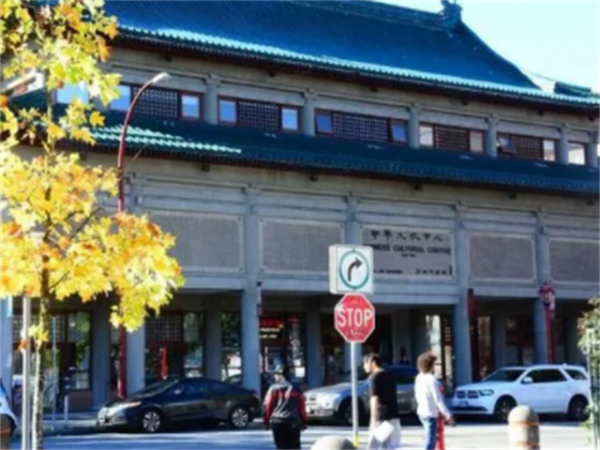 20世紀，越南黑幫在海外欺負中國人，大圈幫得知後，暴打越南黑幫