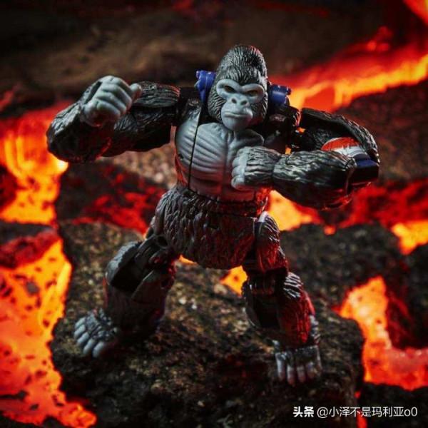 變形金剛《王國》系列紅黑榜大盤點！哪些值得買看完你就知道了