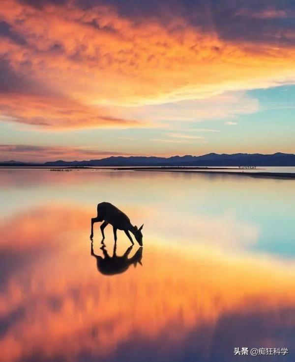 17個猶如來到外星球的真實場景，最後那個就是真實的賽博朋克？