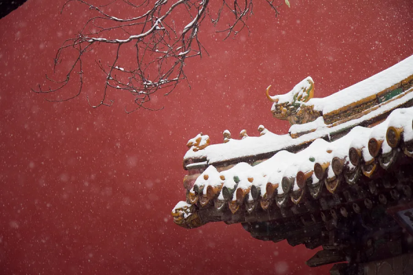 下雪的北京得了“雪景牛逼症”，完全美哭了