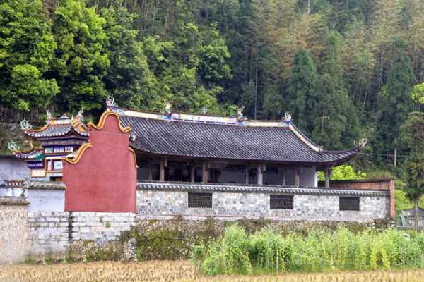 你姓什麼，你的根就從哪兒來