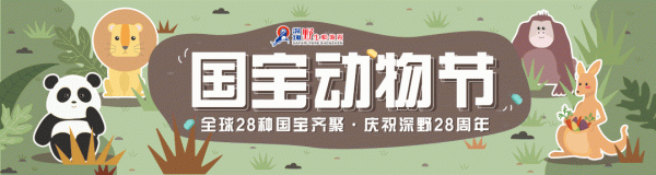 如果睡覺也能排名,我肯定是第一 如果睡覺也能排名,我肯定是第一