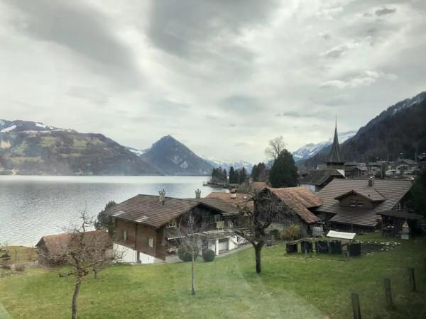 格林德瓦-誤入仙境的驚喜