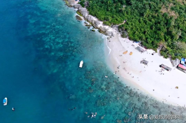 9分神片迴歸!中國人有多會吃海鮮?第一集就讓人邊流口水邊流淚 9分神片迴歸!中國人有多會吃海鮮?第一集就讓人邊流口水邊流淚