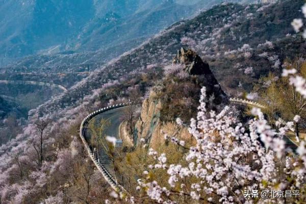 2021好幸運，和你在昌平走過春夏秋冬