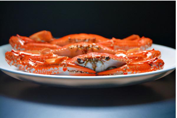 《人間物語》:攜一抹溫柔,與你相伴 《人間物語》:攜一抹溫柔,與你相伴