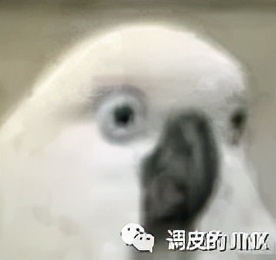 特斯拉沒必要打廣告，因為全世界都在為它打廣告