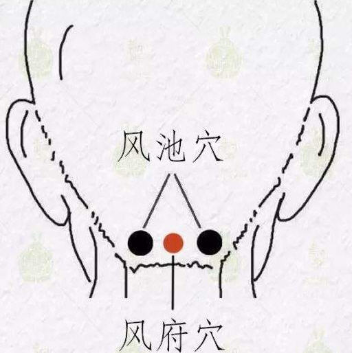 頸椎就怕腦後風，頸痛要找風府穴