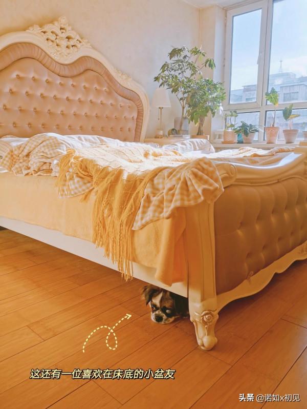 暖暖的陽光,秋冬天宅在家裡也太舒服了吧 暖暖的陽光,秋冬天宅在家裡也太舒服了吧