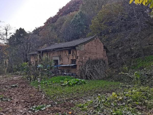 圭峰紅葉遍山,九小時歷程卻讓人驚心 圭峰紅葉遍山,九小時歷程卻讓人驚心