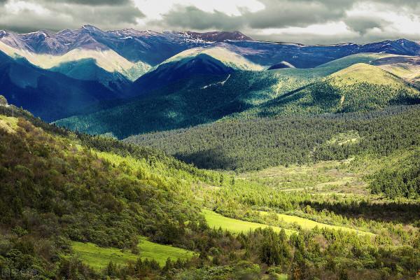 人到中年,看淡一切 人到中年,看淡一切