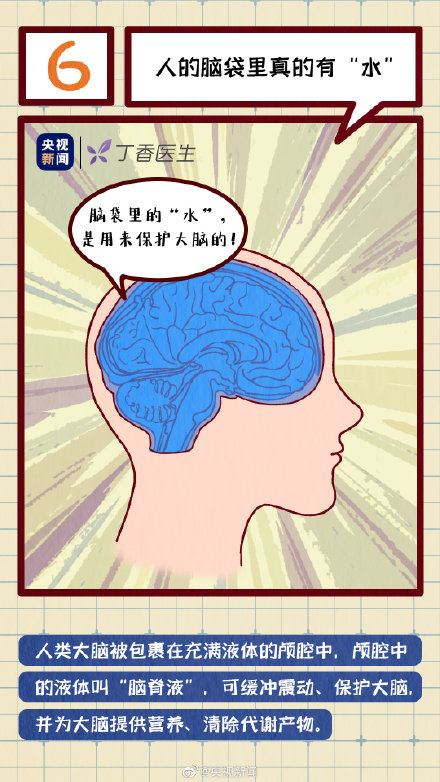 get冷知識！人的腦袋裡真的有水