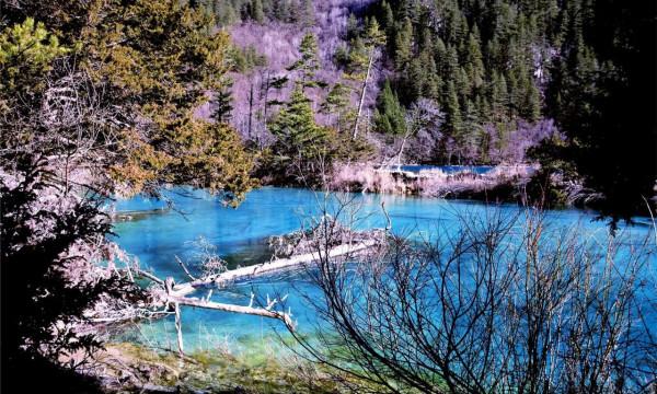 天上仙境在人間