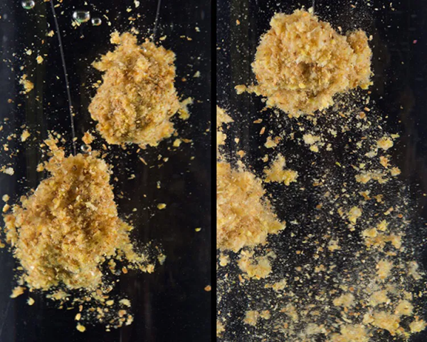 秋天野釣的三大變化,和夏天完全不同,這可是連竿上魚的關鍵 秋天野釣的三大變化,和夏天完全不同,這可是連竿上魚的關鍵