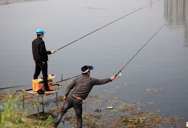冬天釣翹嘴就用這種釣法，漁獲比路亞還要好一些