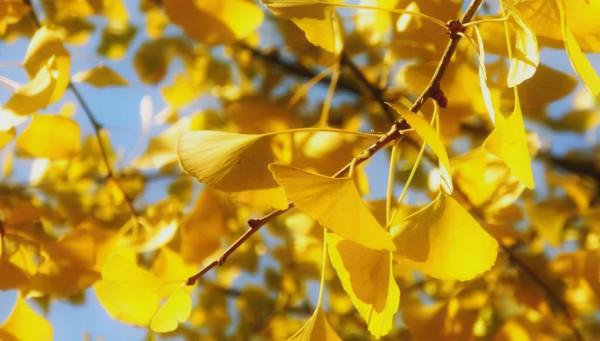 11月，必去的10個古村落，每一個都美得獨特，讓你不想離開