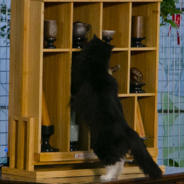 脖子扭扭屁股扭扭，久坐傷身讓我們來做運動