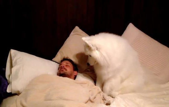 雖然養狗花錢多,但卻有這些好處 雖然養狗花錢多,但卻有這些好處