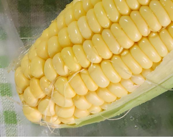 德國藍寶真空保鮮機，帶湯汁的也能抽，還能自清潔