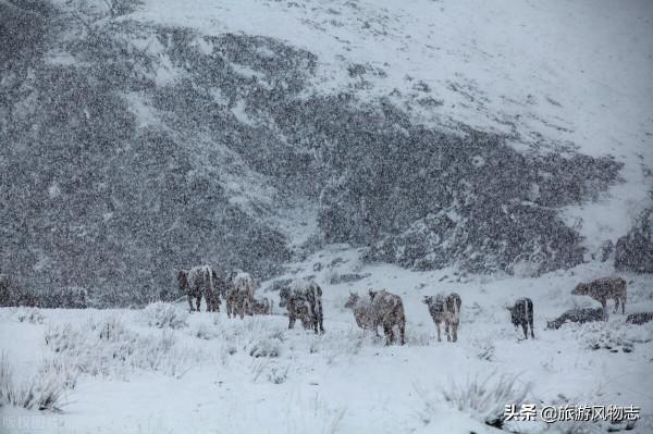 中國最冷的5個城市,漠河排名第二,跟你家鄉比,溫度相差多少? 中國最冷的5個城市,漠河排名第二,跟你家鄉比,溫度相差多少?