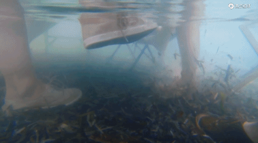 9.1飆到9.5分，這才是真神劇