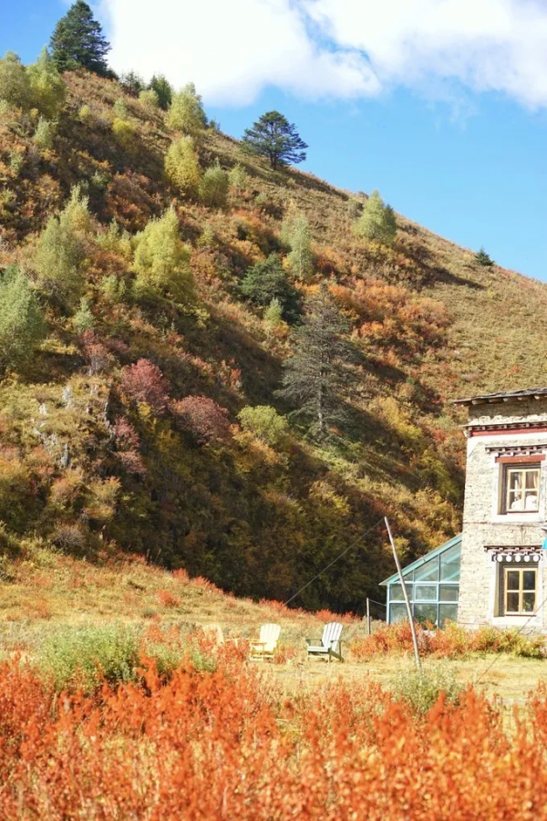 川西塔公草原一個可同時看到雅拉雪山和貢嘎雪山的露營理想地 川西塔公草原一個可同時看到雅拉雪山和貢嘎雪山的露營理想地
