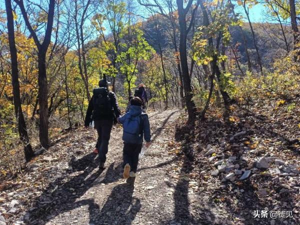 徒步延慶鳳凰坨,登高賞秋色 徒步延慶鳳凰坨,登高賞秋色