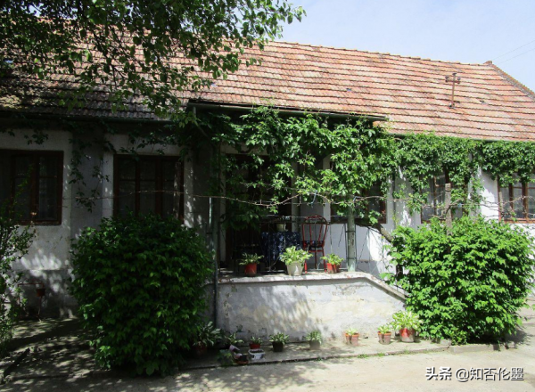 農村“庭院地面”鋪什麼材料最合適？過來人教你少花冤枉錢