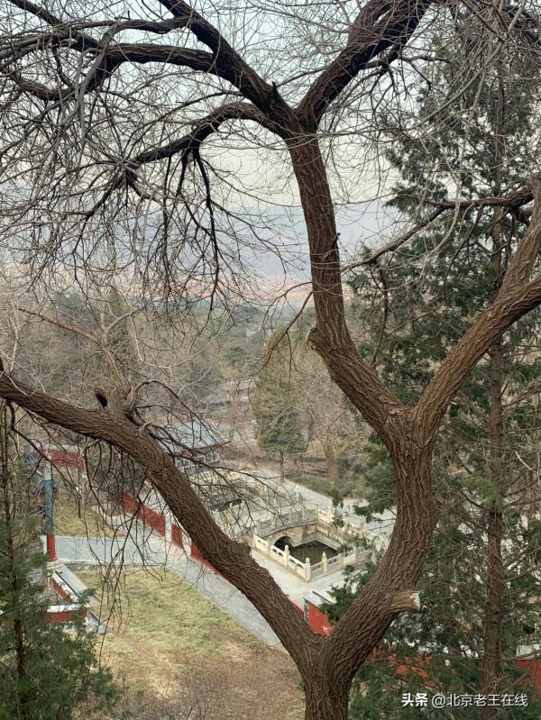 千年古廟香山寺對外開放有段時間了,很多市民都不知道,你去過嗎 千年古廟香山寺對外開放有段時間了,很多市民都不知道,你去過嗎