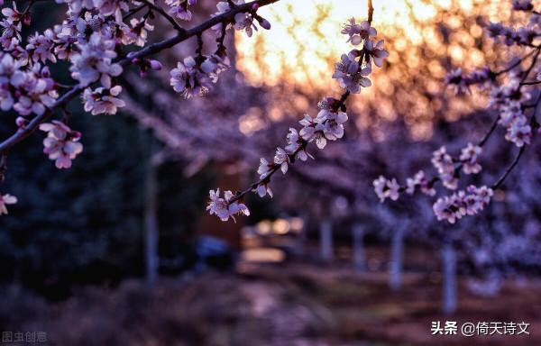 古詩中最經典的十首七律，每一句都是千古名句，值得細品