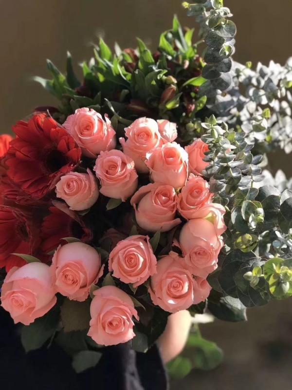 養護別稀裡糊塗，弄清楚這4點基礎知識，很重要