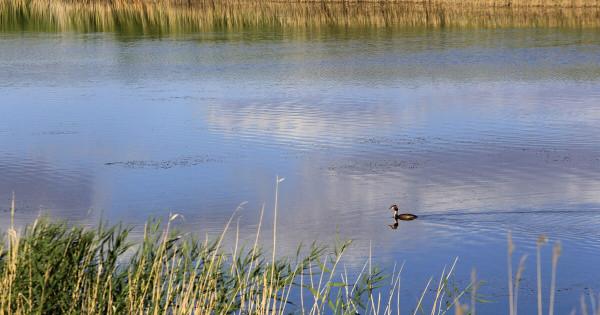 我國愣是從沙漠中挖出個水庫,還是亞洲最大?這在當地卻飽受爭議 我國愣是從沙漠中挖出個水庫,還是亞洲最大?這在當地卻飽受爭議