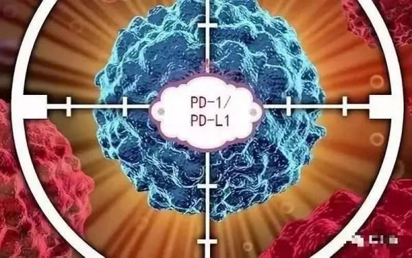 在研乙肝新藥ASC22，IIb期中期資料，可誘導HBsAg下降甚至消失
