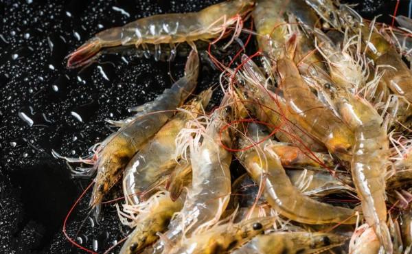 中秋家宴，分享6道拿手家常菜，4葷2素，做法簡單，比上飯店強