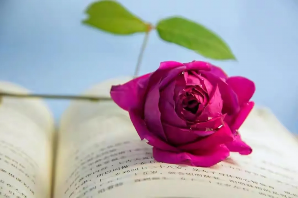 六十歲的樊大媽：我沒有一分錢的退休金，卻天天都活得非常開心