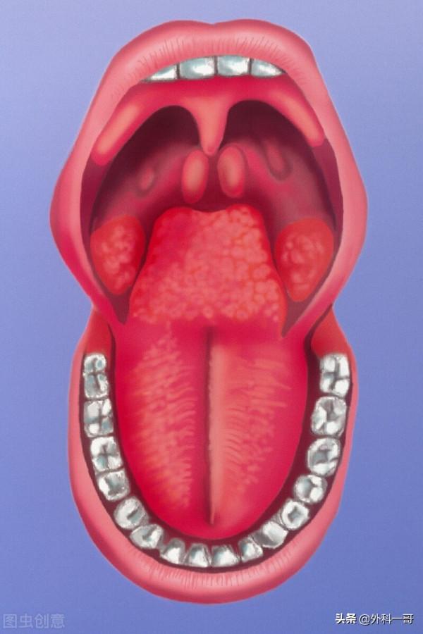 臨床口腔的78個基礎知識點