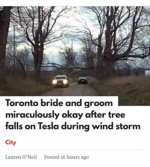 贊！加拿大男子開特斯拉參加婚禮被樹砸，新婚夫婦奇蹟般沒受傷