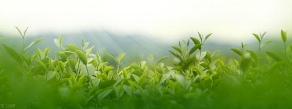 六旬大叔5年前確診MET罕見靶點肺癌,他在抗癌路上乘風破浪 六旬大叔5年前確診MET罕見靶點肺癌,他在抗癌路上乘風破浪