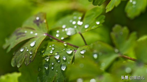 從那以後,母親就很少回來了 從那以後,母親就很少回來了
