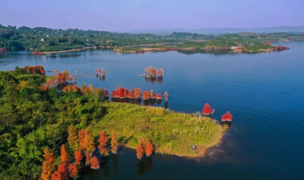 冬日，重慶美景圖鑑