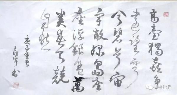 記杭州灣溼地的動物（