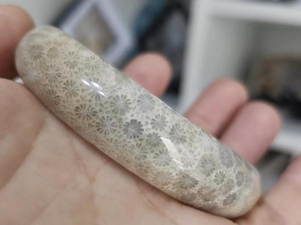 帶你認識珊瑚玉的十種花型‖密恐慎入 帶你認識珊瑚玉的十種花型‖密恐慎入