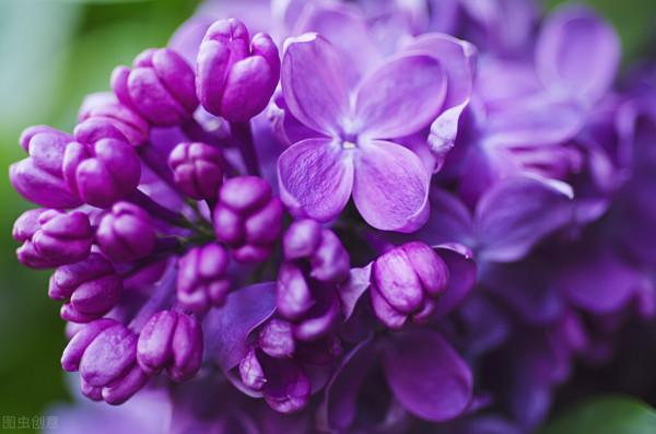 關於養花的4個冷知識，熱愛養花的你應該要知道，學到就是賺