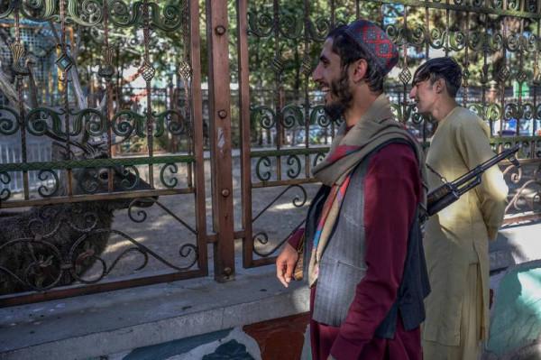 爽玩遊樂園還不夠!塔利班戰士帶槍逛動物園露天真燦笑 爽玩遊樂園還不夠!塔利班戰士帶槍逛動物園露天真燦笑