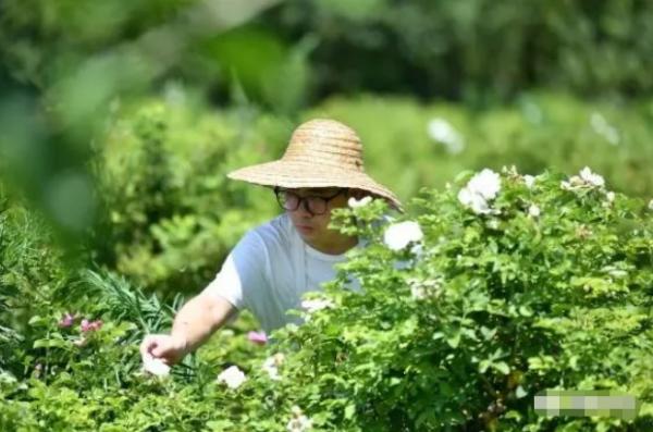 蘇北農村小夥放棄國企工作，返鄉打造“網紅打卡地”，還帶領村民共同致富！