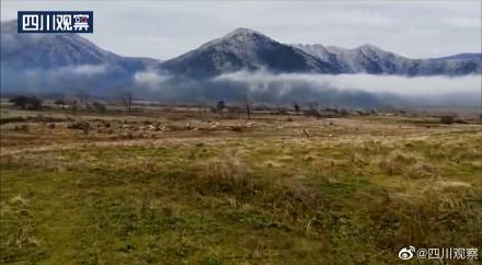 四川孟獲城景區首次迎來黑頸鶴 四川孟獲城景區首次迎來黑頸鶴