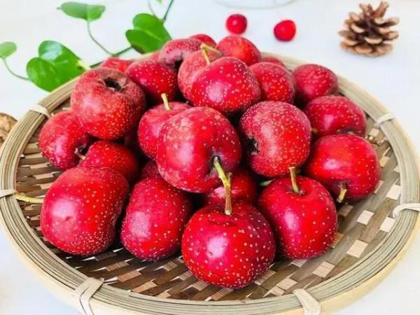 孕期要注意以下水果